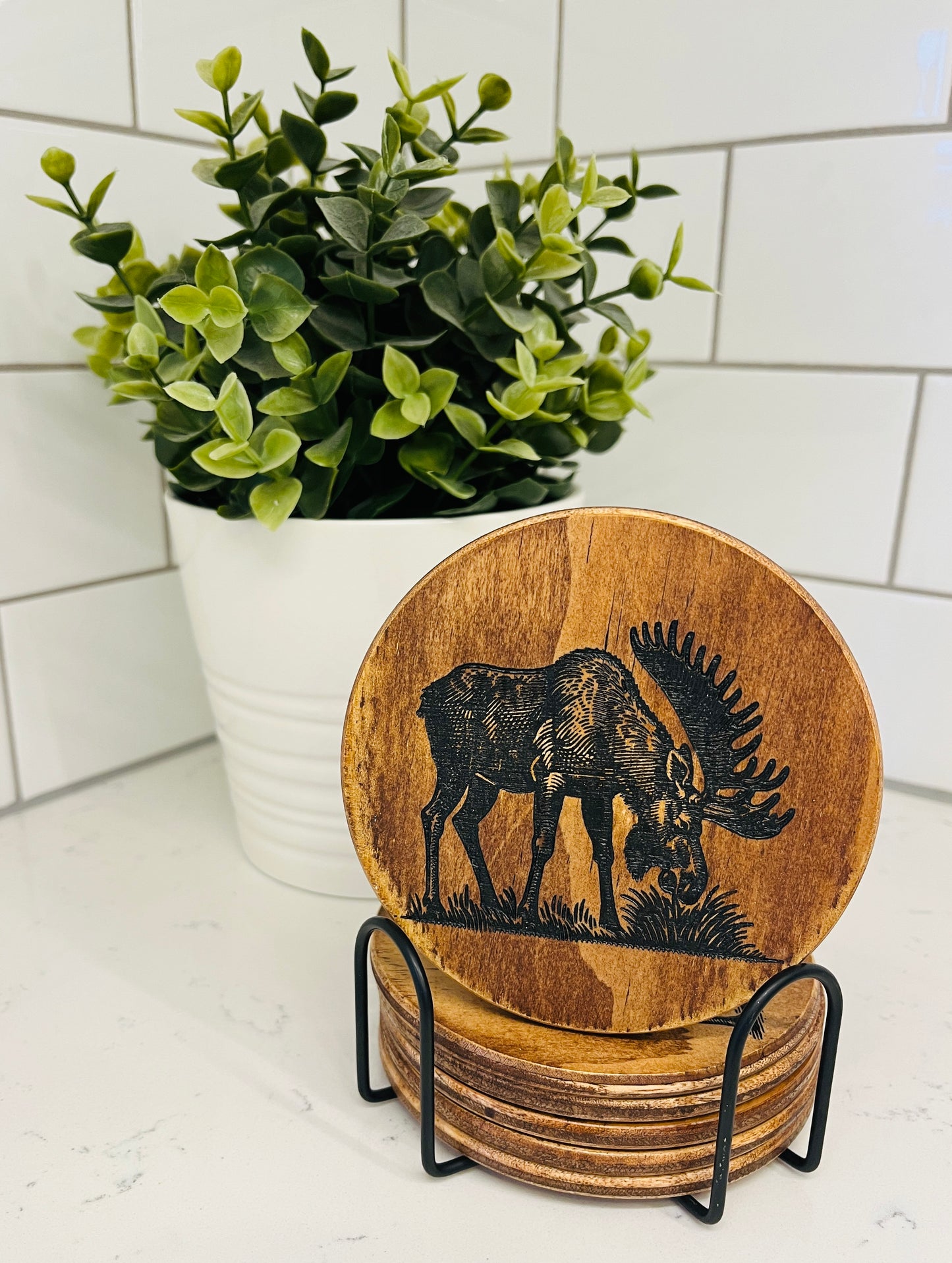 Coaster Set - Moose
