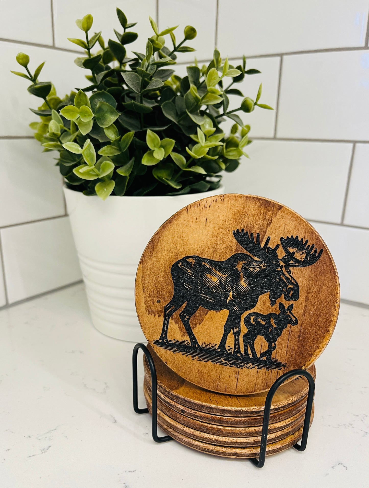 Coaster Set - Moose