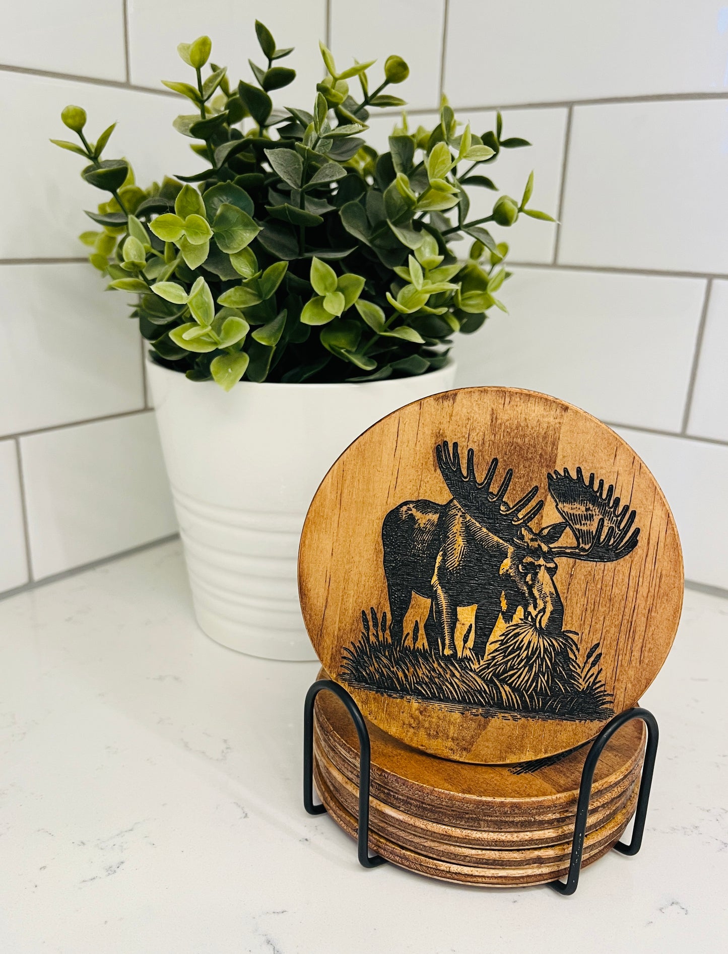 Coaster Set - Moose