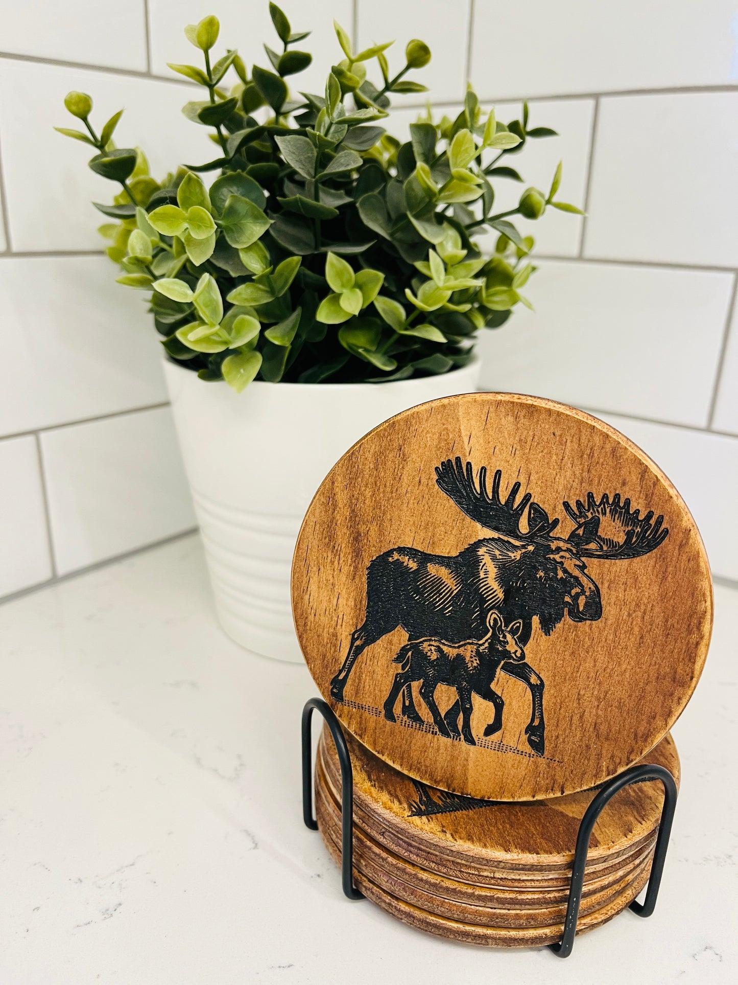 Coaster Set - Moose