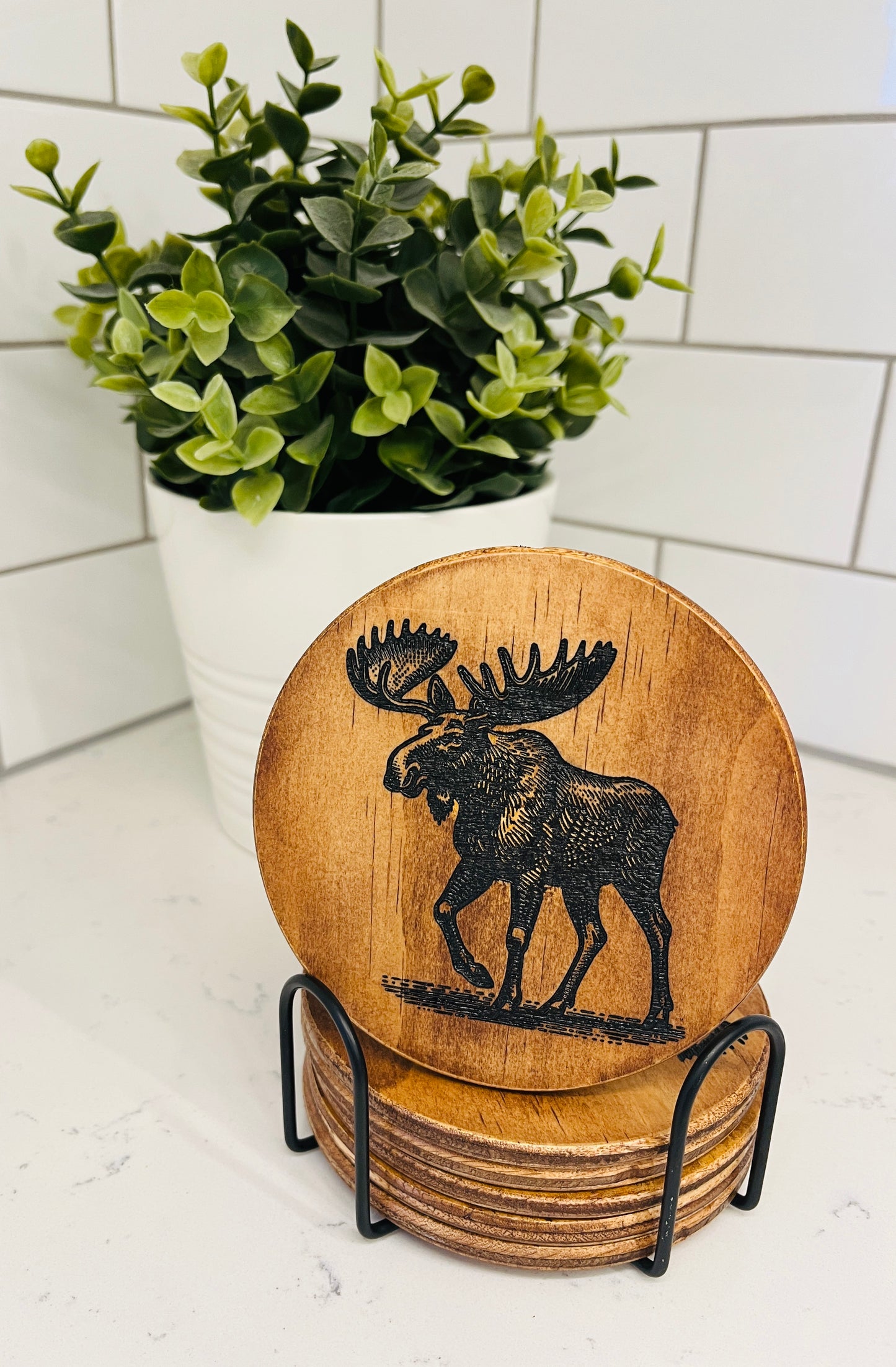 Coaster Set - Moose