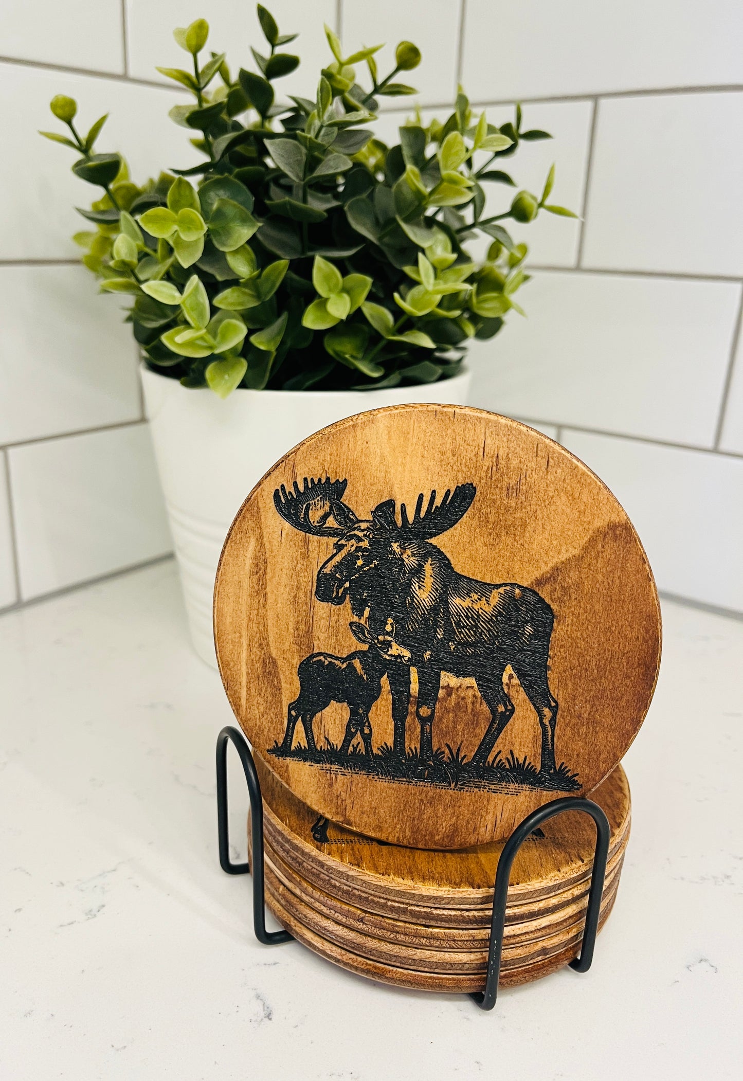 Coaster Set - Moose