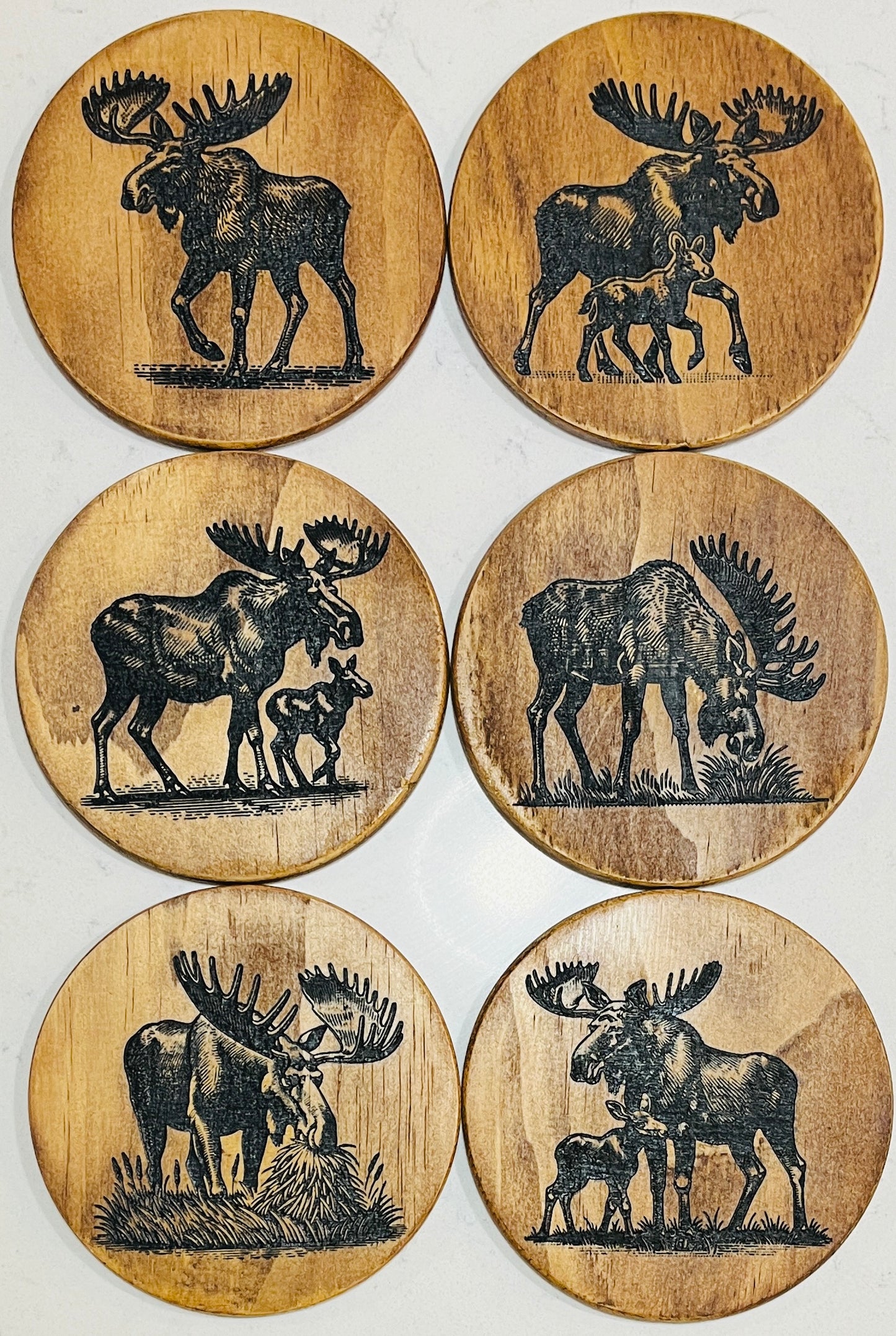 Coaster Set - Moose