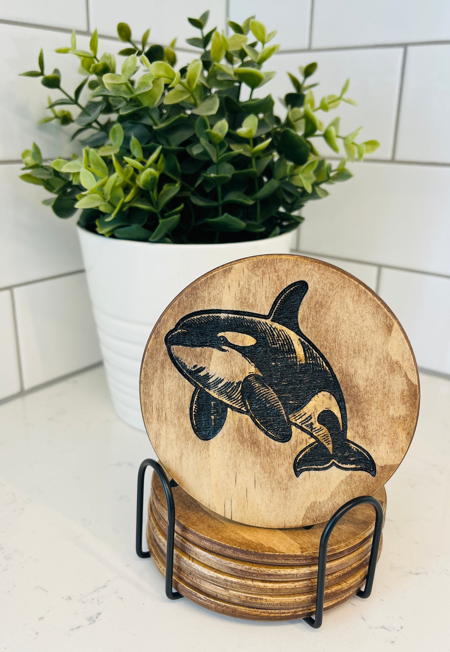Coaster Set - Orca Whale
