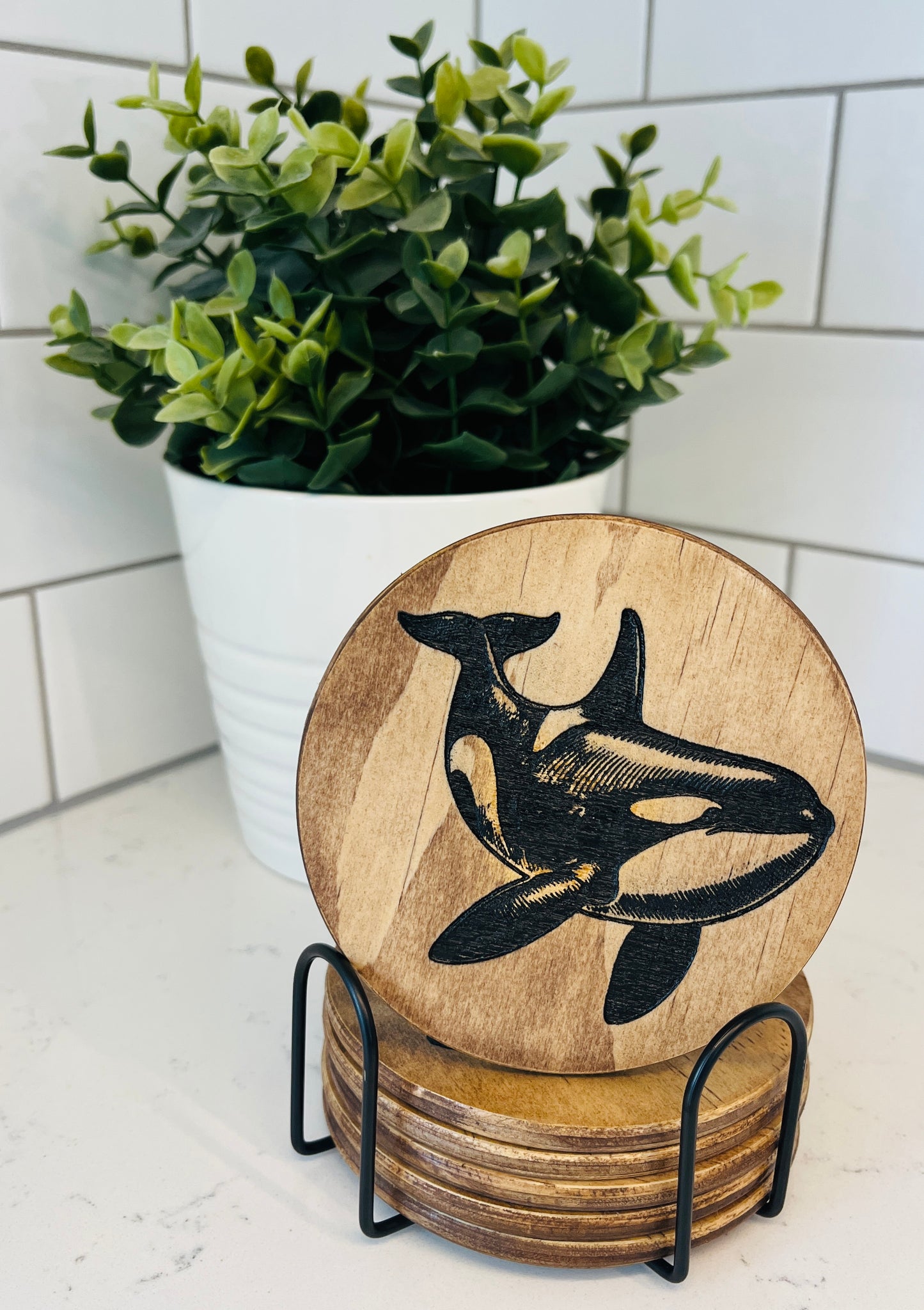 Coaster Set - Orca Whale