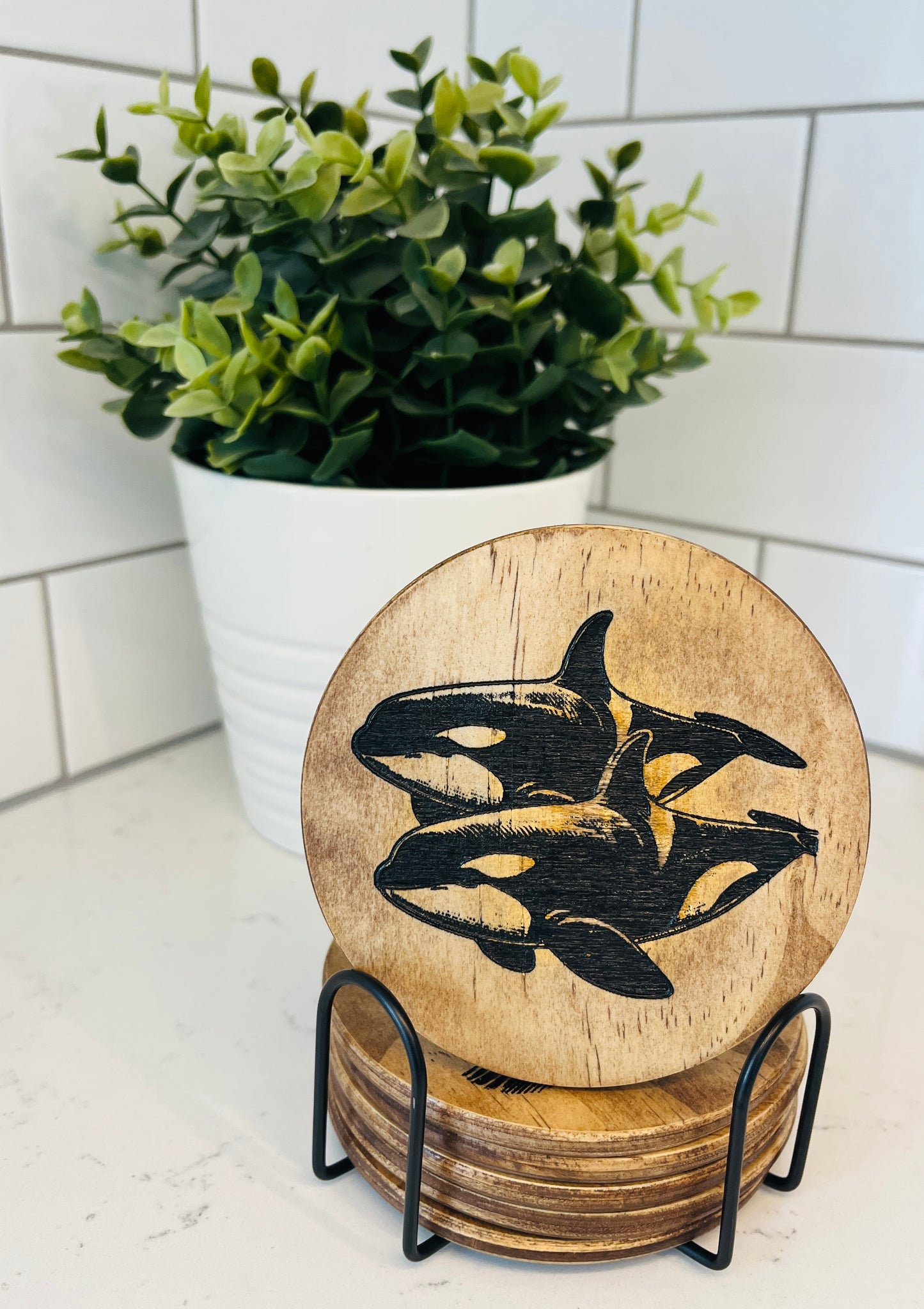 Coaster Set - Orca Whale