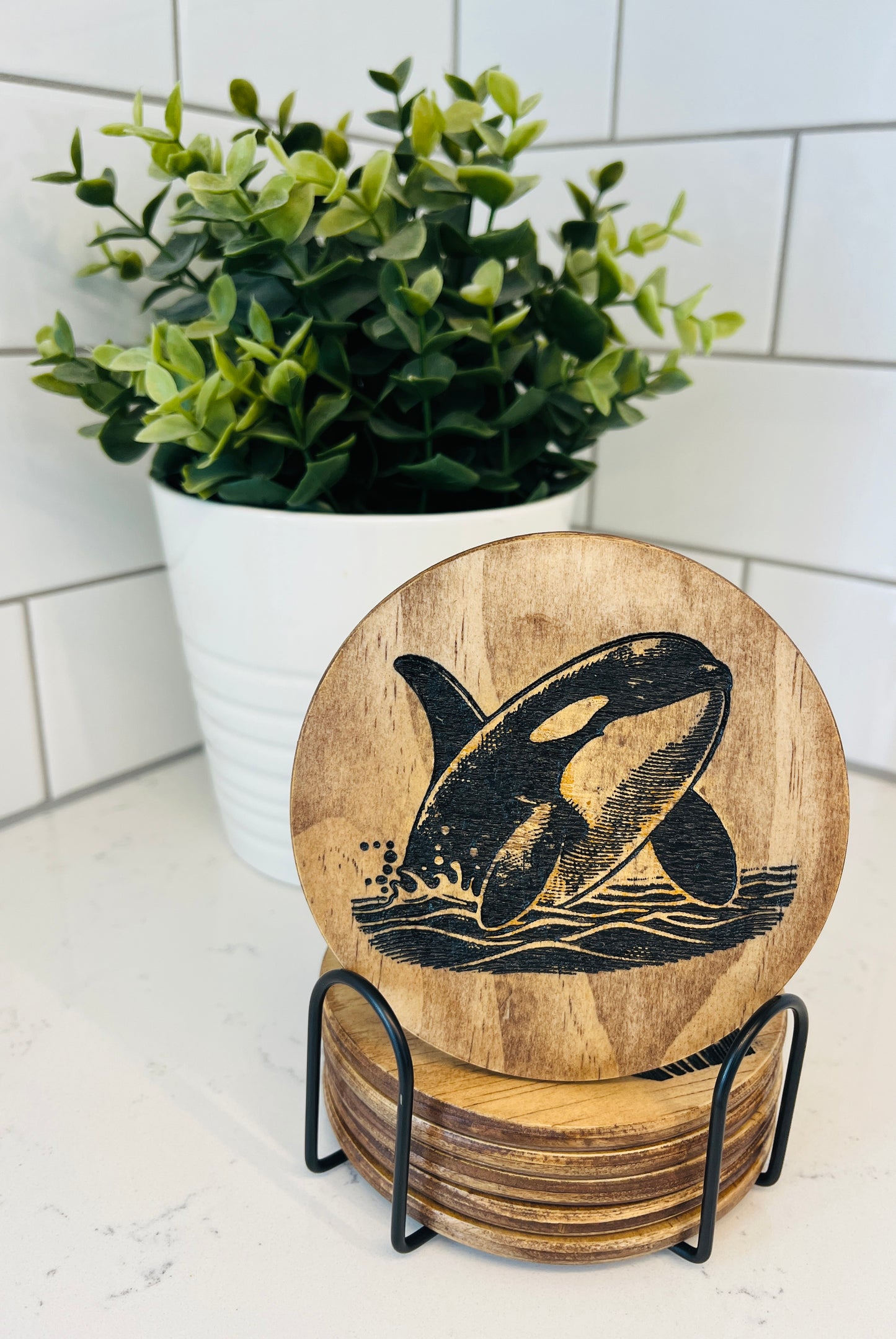 Coaster Set - Orca Whale