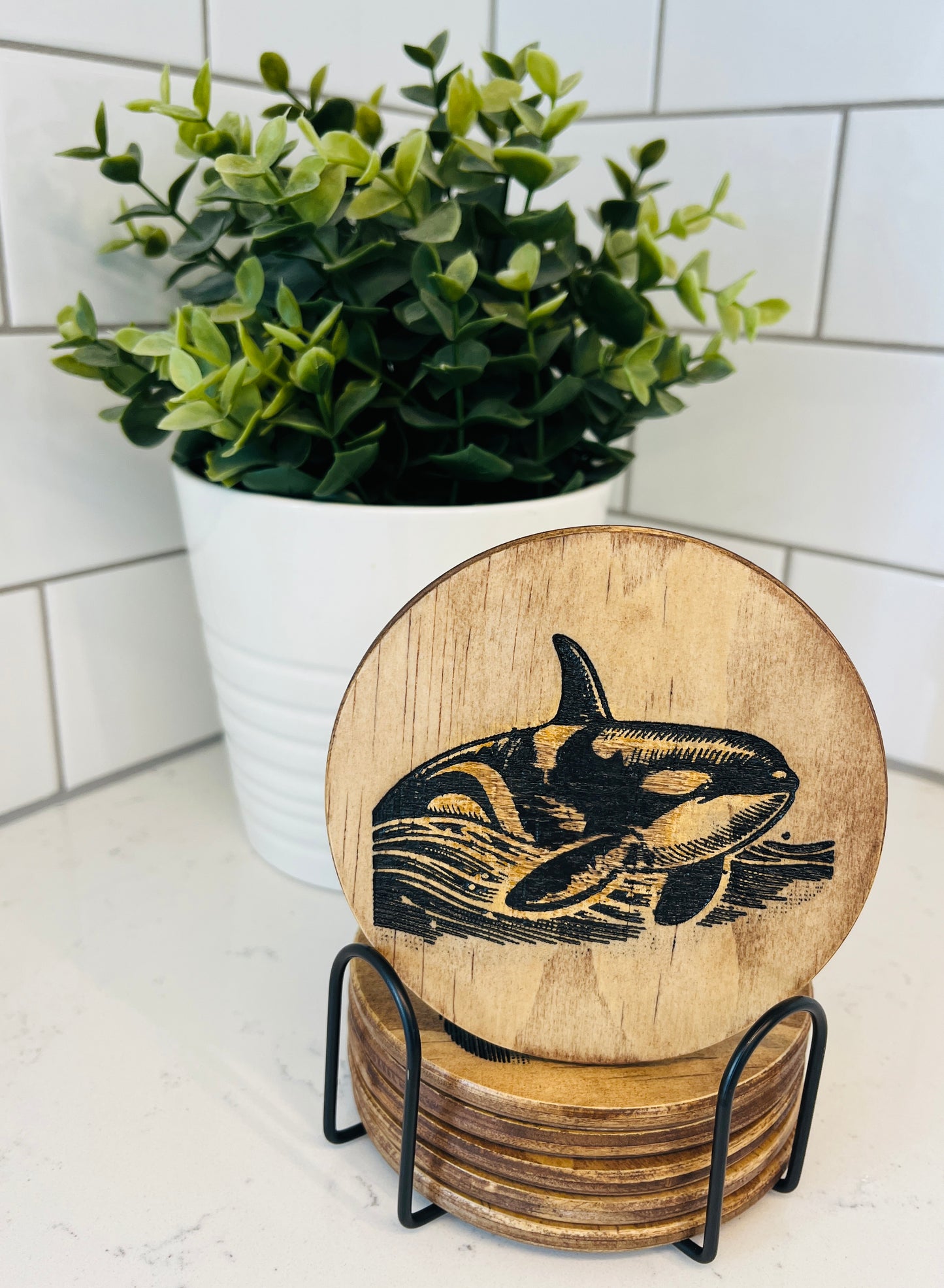 Coaster Set - Orca Whale