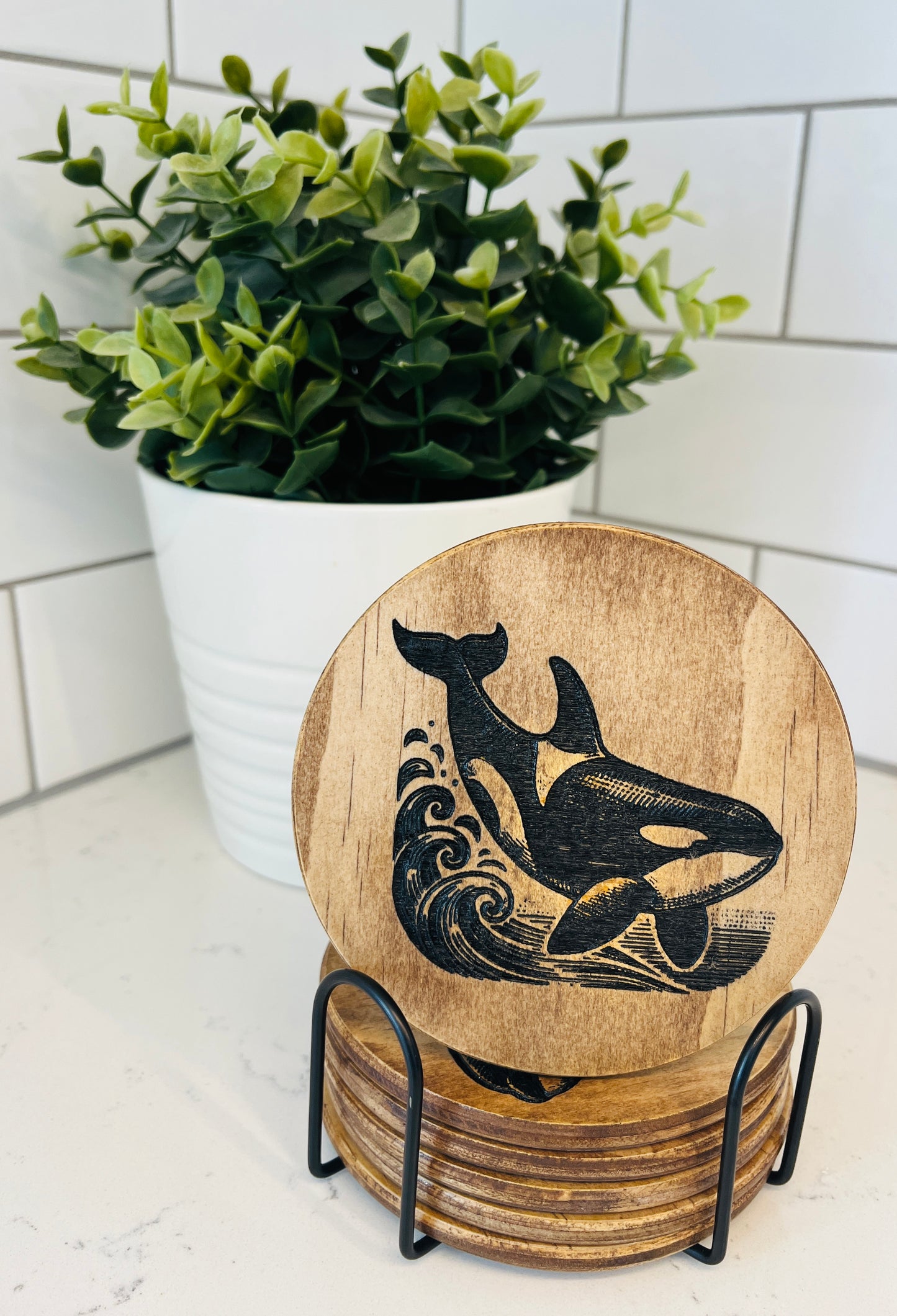 Coaster Set - Orca Whale