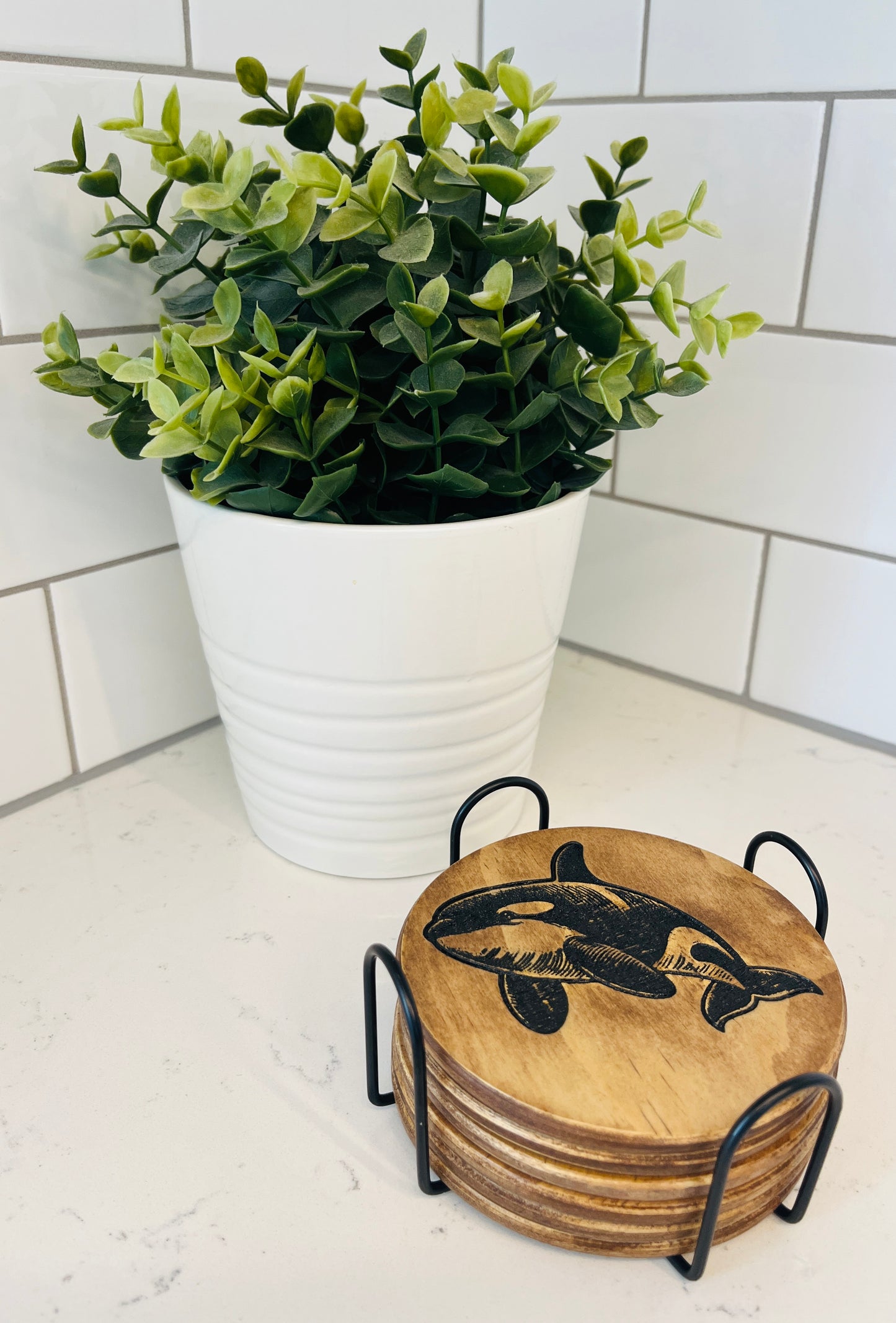 Coaster Set - Orca Whale