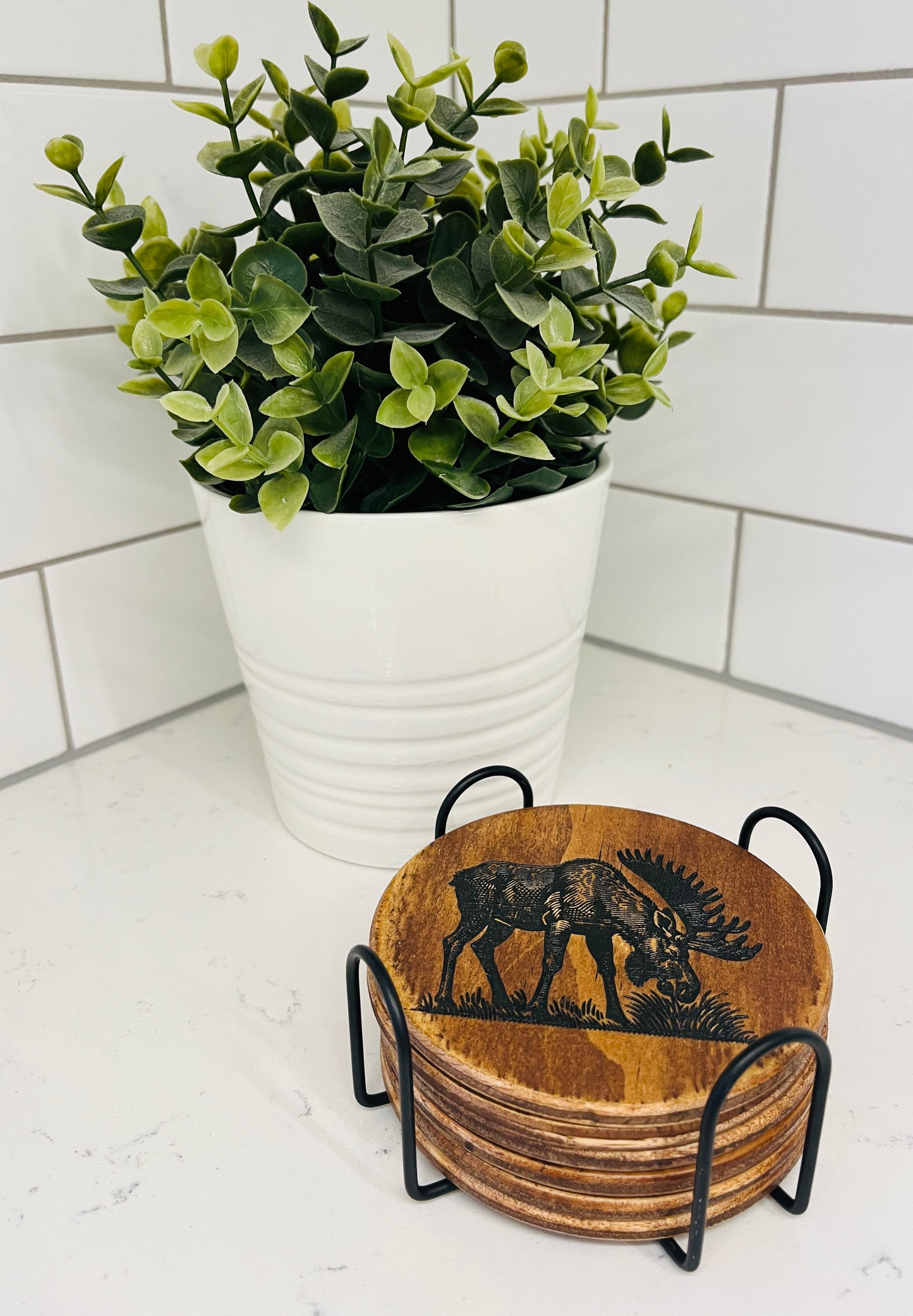Coaster Set - Moose