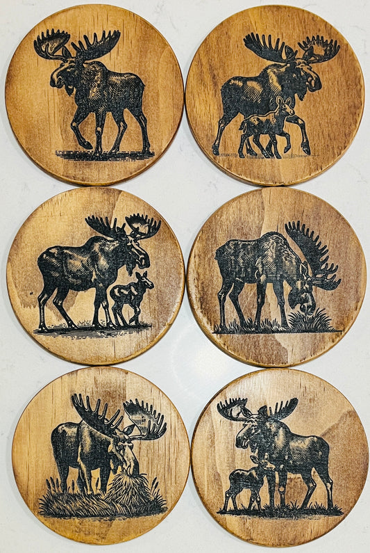 Coaster Set - Moose