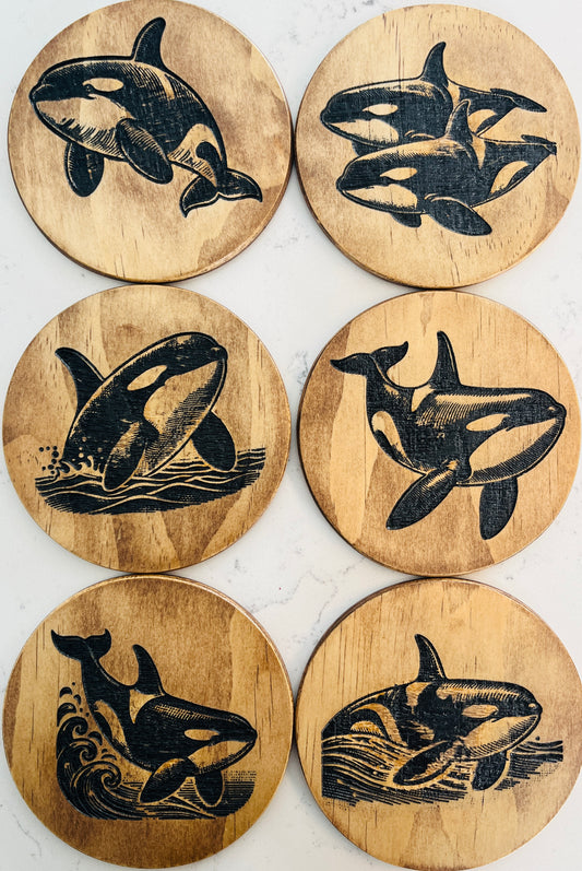 Coaster Set - Orca Whale